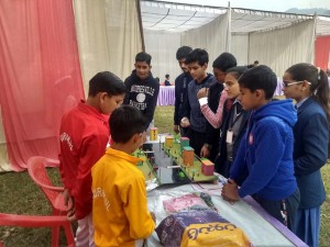 Participants explaining the working of their model