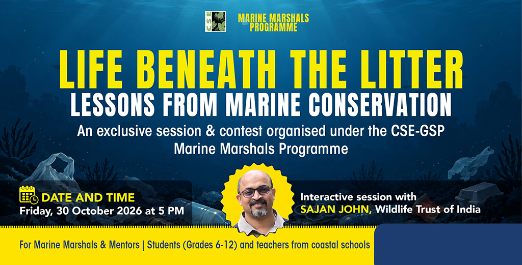 MarineMarshals